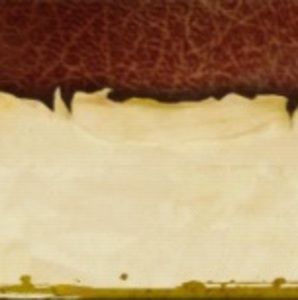 Meet your Posher, Hani